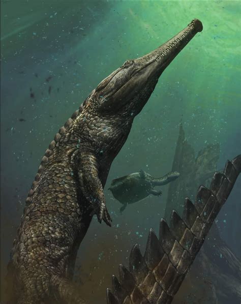 The world's largest sea-dwelling crocodile, previously unknown to science has been discovered ...