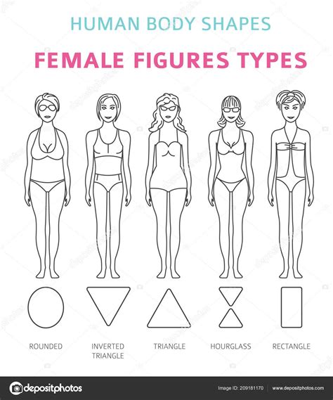 Download - Human body shapes. Female figures types set. Simple line design. Vector illustration ...