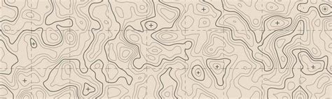 Topographic Map Pattern Vector Art, Icons, and Graphics for Free Download