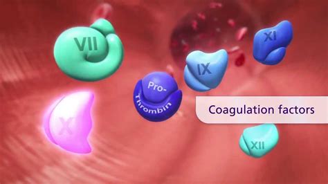 BLOOD CLOTTING FACTORS ~ Nursing Path