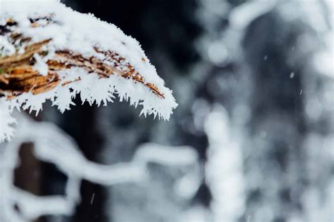 Winter in Harz Mountains | Design Ideas