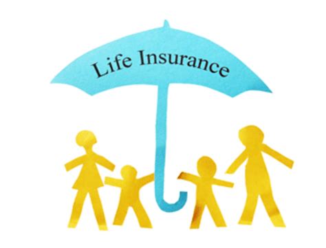 The 3 Essential Types of Life Insurance Explained - MBhealth Insurance Agency