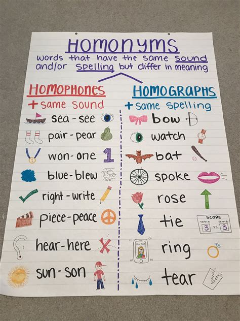 Homonyms, Homophones, Homographs | Elementary learning, Classroom anchor charts, Teaching phonics