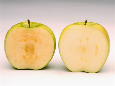 Would You Put the Genetically Modified Arctic Apple in Your Pie? | WIRED