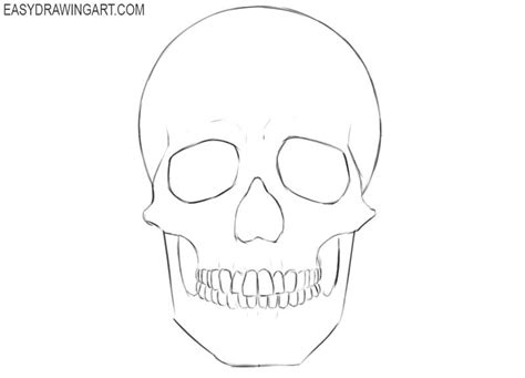 How to Draw a Skull | Easy Drawing Art | Easy skull drawings, Skull ...