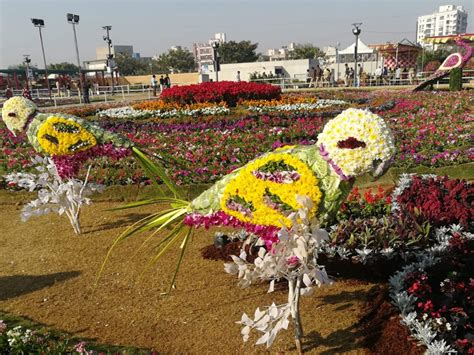 Ahmedabad: Flower show at Sabarmati Riverfront an opportunity to get ...