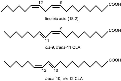 Structure of linoleic acid and its two main conjugated derivatives. CLA... | Download Scientific ...