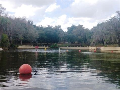 Salt Springs Run Paddling, Ocala National Forest. E-Z Map, Photos.