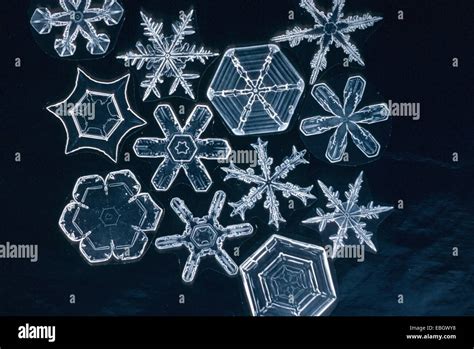 crystal of snow, ice crystal, microscopic photograph Stock Photo - Alamy