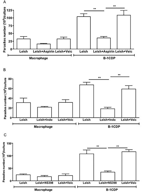 Blockage of the cyclooxygenase pathway shift the B-1CDP cells to ...