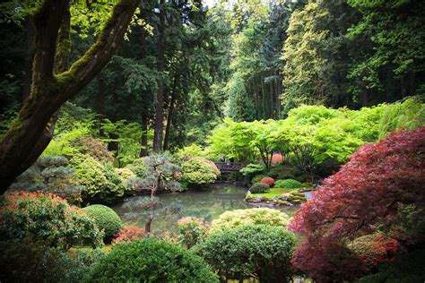 Japanese Gardens | Sean Davis | Flickr