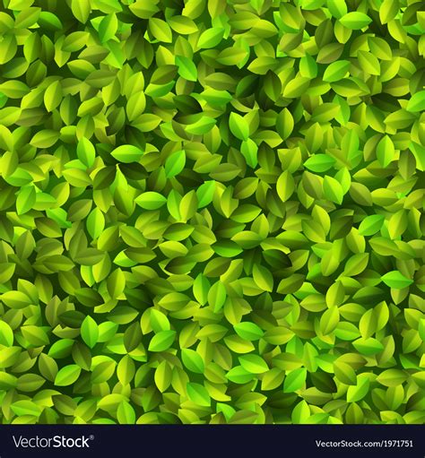 Green leaves texture seamless pattern eps10 Vector Image