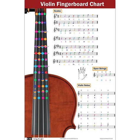 Buy QMGViolin Fingering Chart with Color-Coded Notes, Learn Violin Scales Techniques Suitable ...