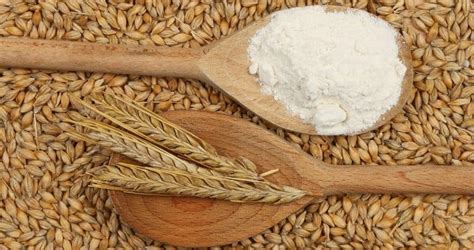 What Is Malted Barley Flour? (What It's Made Of + Substitutes)