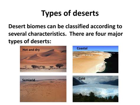 PPT - BIOME DESERT PowerPoint Presentation, free download - ID:2084511