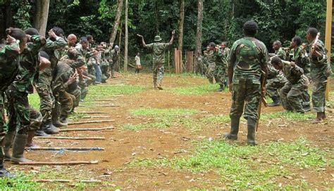 OPM Admits Shooting TNI Member in Papua - En.tempo.co