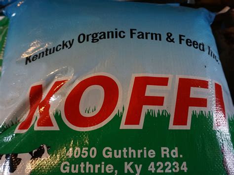 Organic Farm Fresh Eggs one Dozen - Etsy