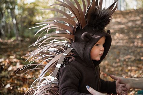 Porcupine Costume for Kids Kids Costume Animal Costume - Etsy