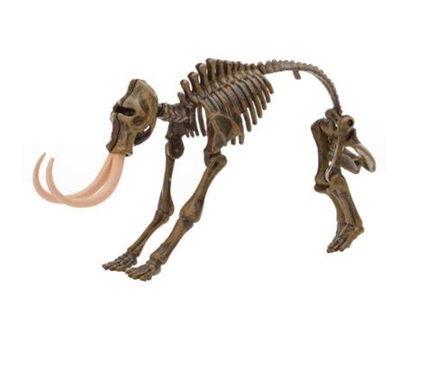 Dinosaur Skeleton Puzzle - Maryland Historical Society