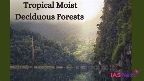 Tropical Moist Deciduous Forests