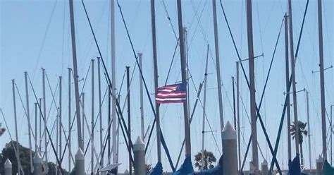 Serapis flag in the wild, somebody likes obscure vexillologic trivia... : vexillology