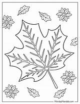 Autumn Leaves Coloring Pages Printable  Free Sheet Printables sketch template