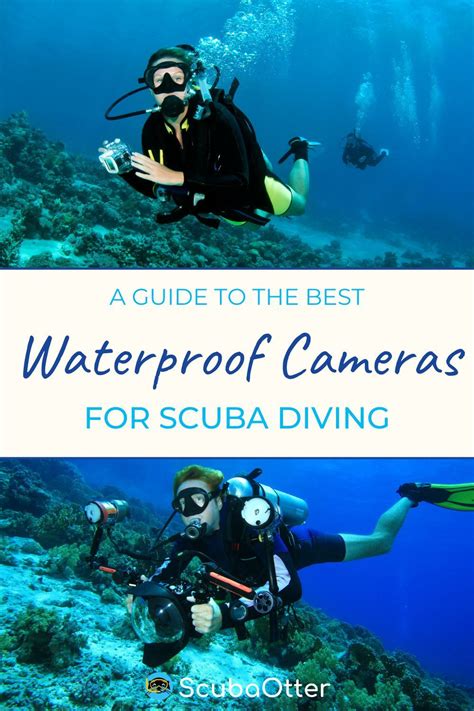 Waterproof Cameras For Scuba Diving | Scuba diving camera, Scuba diving, Diving