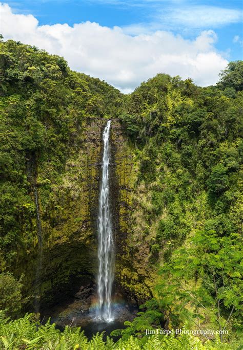 Hawaii - Akaka Falls - Jim Tarpo Photography