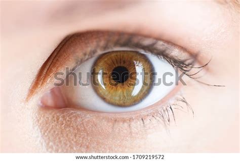 14,112 Hazel About Eyes Images, Stock Photos & Vectors | Shutterstock