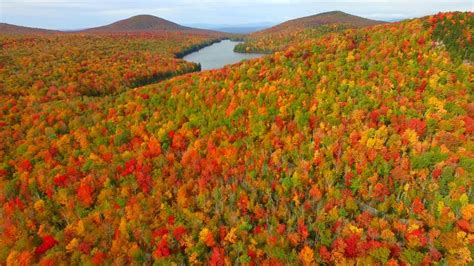 This is Fall Foliage in Groton Vermont - October 8th - Green Mountain Drone - YouTube