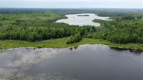 Michigan Exposures: A Stop at the Rifle River Recreation Area