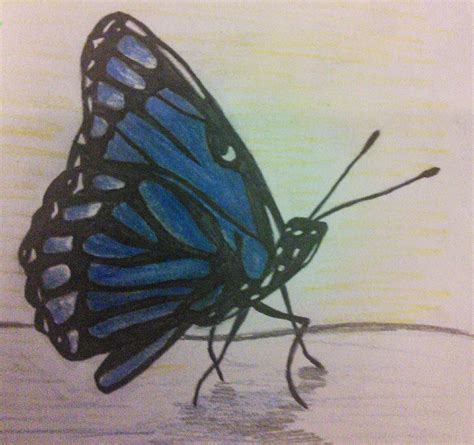 Pencil Drawing Of Butterfly at GetDrawings | Free download