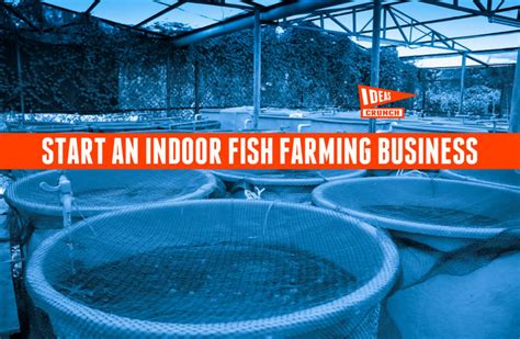 Start An Indoor Fish Farming Business | Farming business, Fish farming, Farm