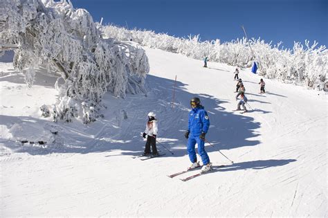 Mt Buller - WorldStrides Australia