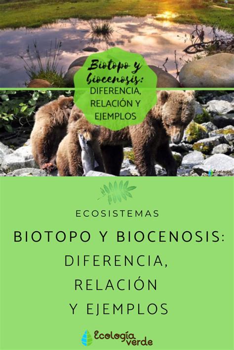 BIOTOPO y BIOCENOSIS: diferencia, relación y ejemplos - Resumen | Tipos ...