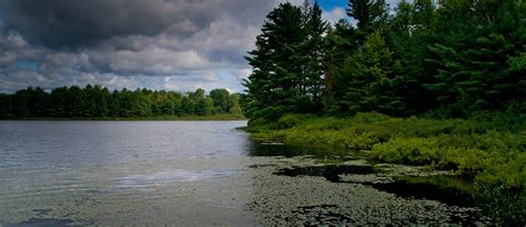 Wilderness Islands, Rainy Lake, Ontario - AMERICAN FRIENDS