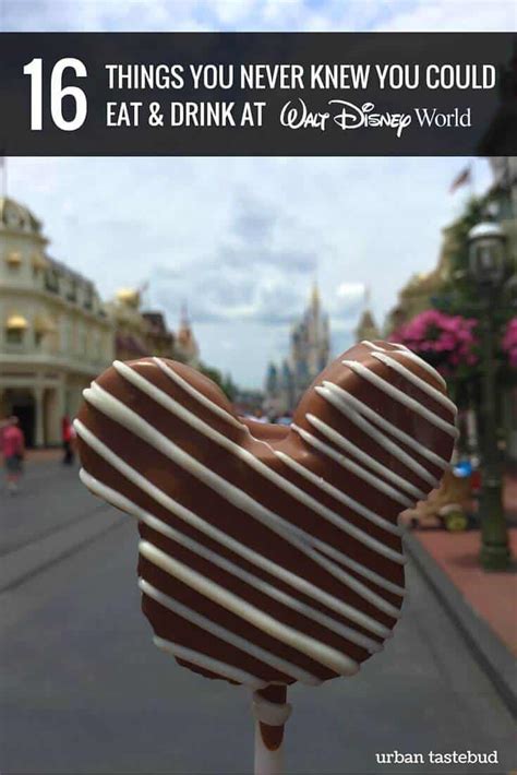 16 Things You Didn't Know You Could Eat & Drink at Disney World