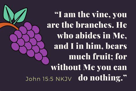 John 15:5 NKJV – Bible Potato