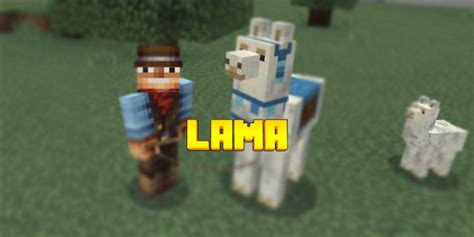 Minecraft Llama Carpet Designs | www.stkittsvilla.com