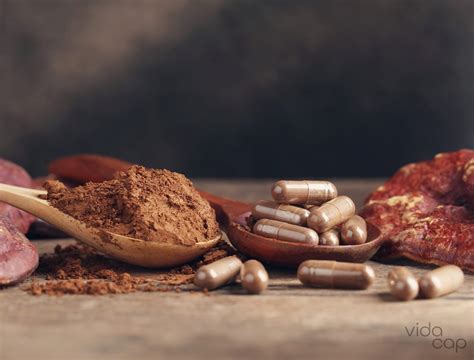 Mushroom Supplement Benefits: Why You Should Use Them Everyday