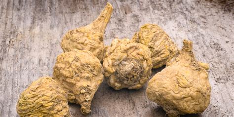 Maca Benefits: Everything You Need To Know About This Peruvian Plant