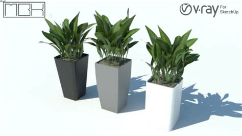 House plant 10 | 3D Warehouse | Plants, Big vases, House plants