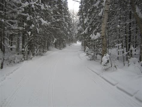 Snowmobile Trail Report for Thursday, February 2, 2023 - Idle Hours Resort