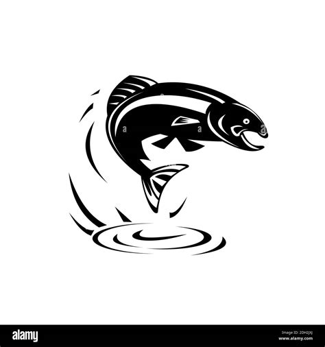 Fish jumping out of the water Black and White Stock Photos & Images - Alamy