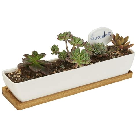 FLOWERPLUS Planter Pot Indoor, 11 Inch Long Rectangle White Ceramic ...