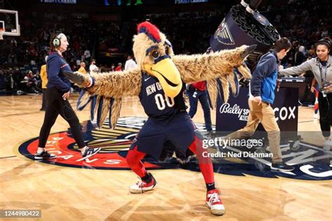 New Orleans Pelicans Mascot Photos and Premium High Res Pictures - Getty Images