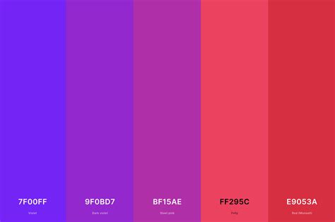 25+ Best Violet Color Palettes with Names and Hex Codes – CreativeBooster