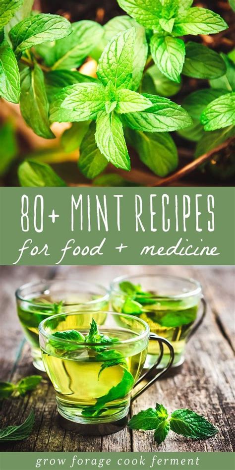 80+ Mint Recipes: Drinks, desserts, remedies + more! | Mint recipes, Mint recipes fresh, Herbs