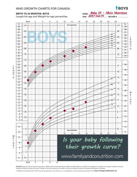 Growth Charts: Everything You Need to Know About Your Child's Growth | Growth chart, Kids growth ...