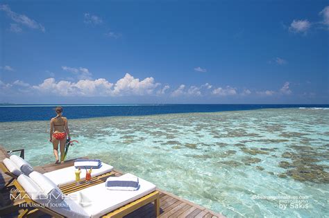 Lily Beach Maldives Review. Discover Lily Beach Maldives and Why We Love this Resort